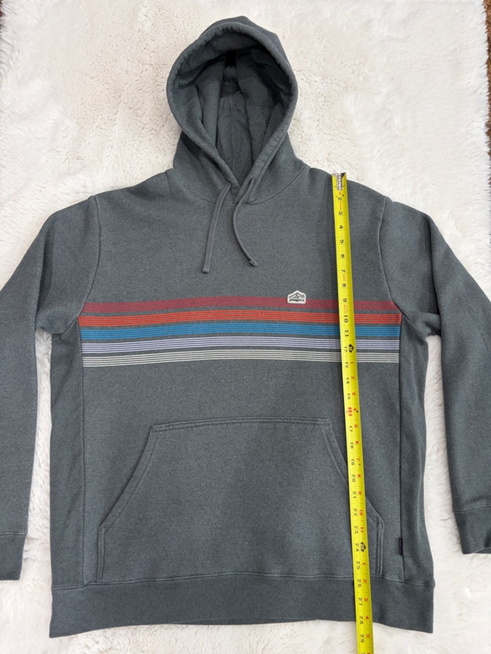 Patagonia,Size,XL,Men's Gray Hooded Sweatshirt with Multicolor Stripe - Picture 11 of 16